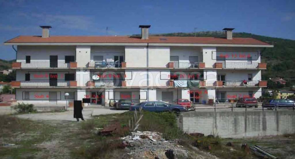 immagine annuncio 10 di 11