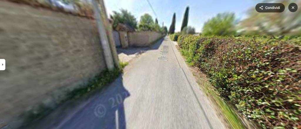 immagine annuncio 7 di 11
