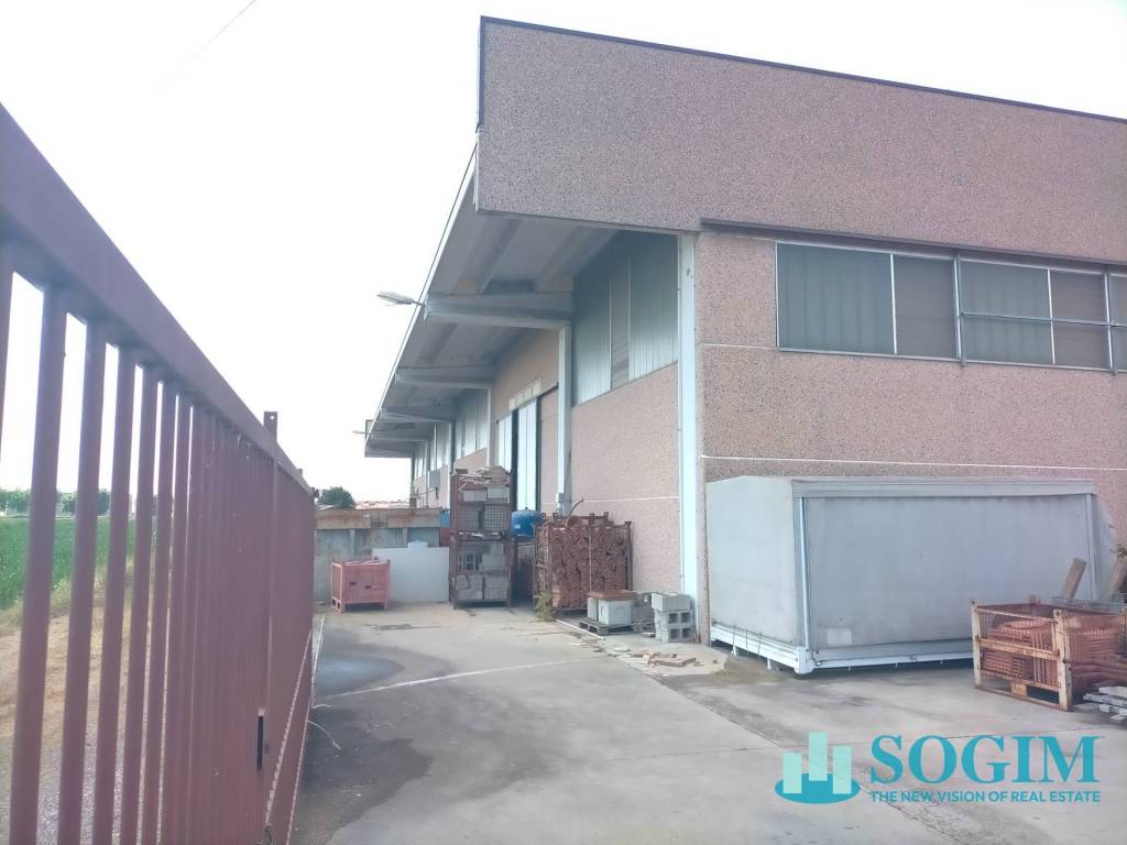 immagine annuncio 6 di 8