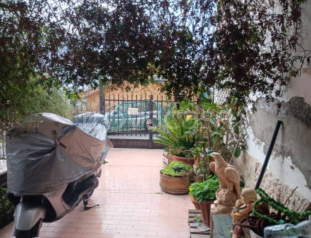 immagine annuncio 2 di 14