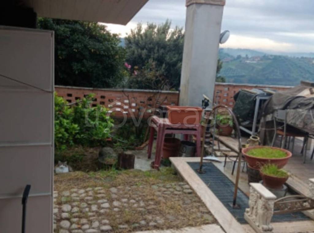 immagine annuncio 11 di 14