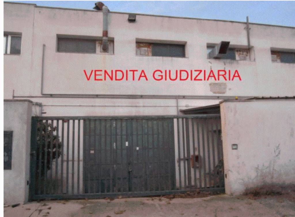 immagine annuncio 4 di 11