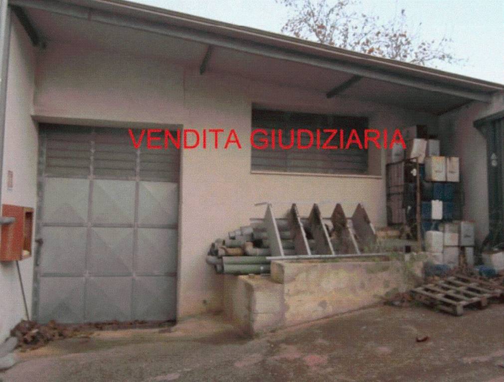 immagine annuncio 6 di 11