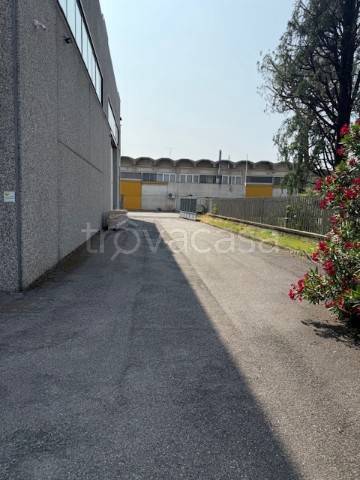 immagine annuncio 2 di 8