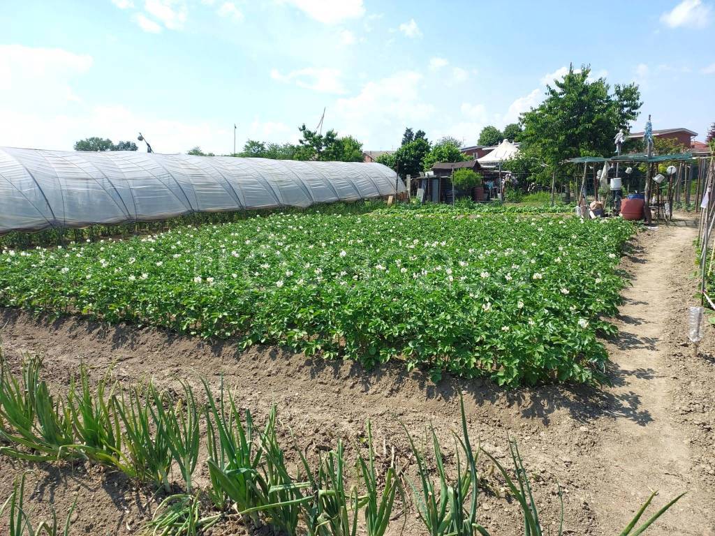 immagine annuncio 4 di 15