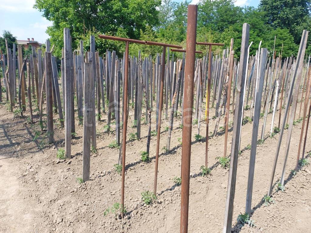 immagine annuncio 7 di 15