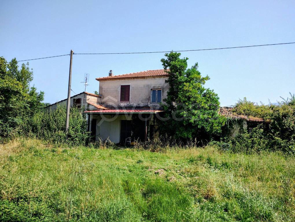 immagine annuncio 3 di 7