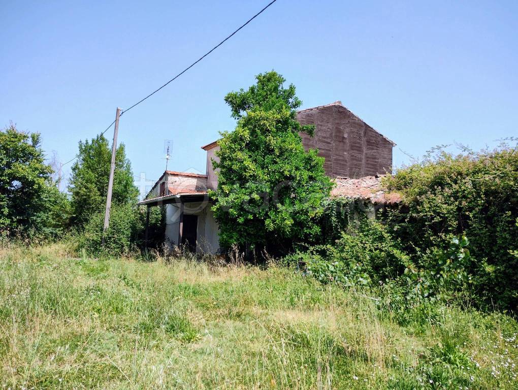immagine annuncio 4 di 7