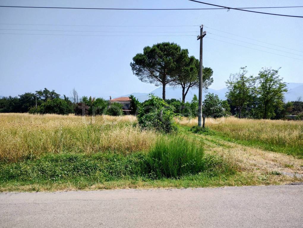 immagine annuncio 5 di 7