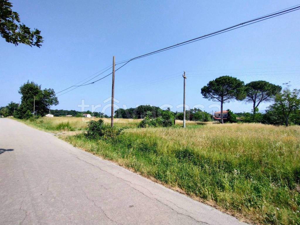 immagine annuncio 6 di 7