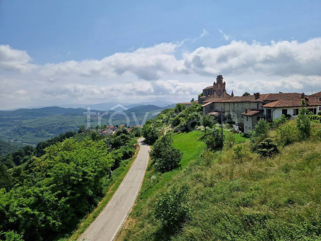 immagine annuncio 7 di 14