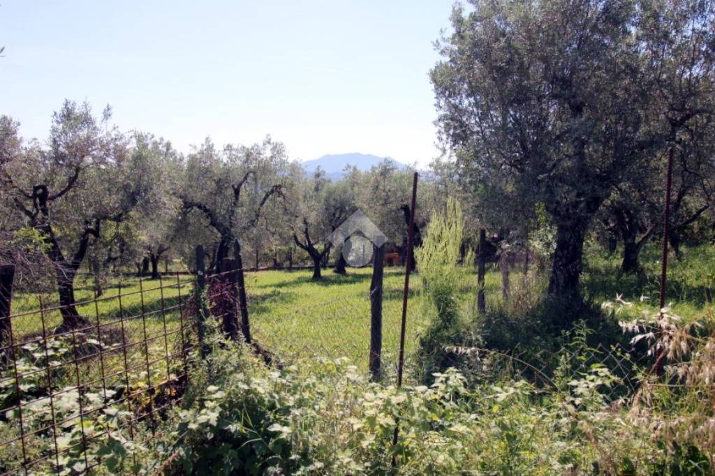 immagine annuncio 4 di 11