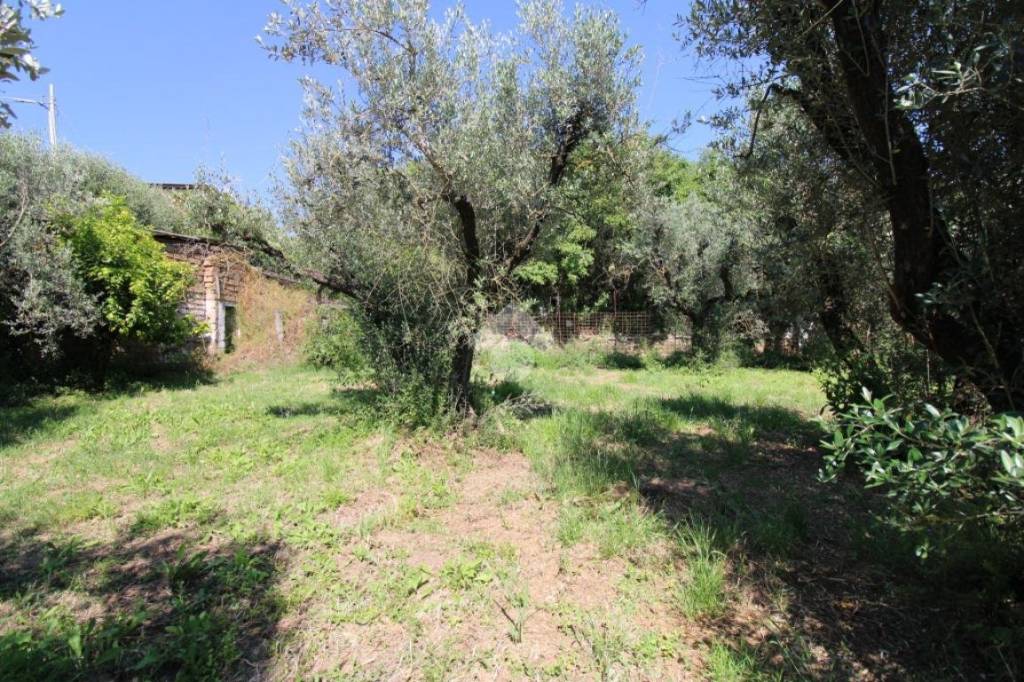 immagine annuncio 5 di 11