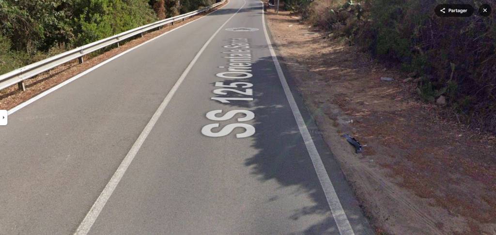 immagine annuncio 11 di 14