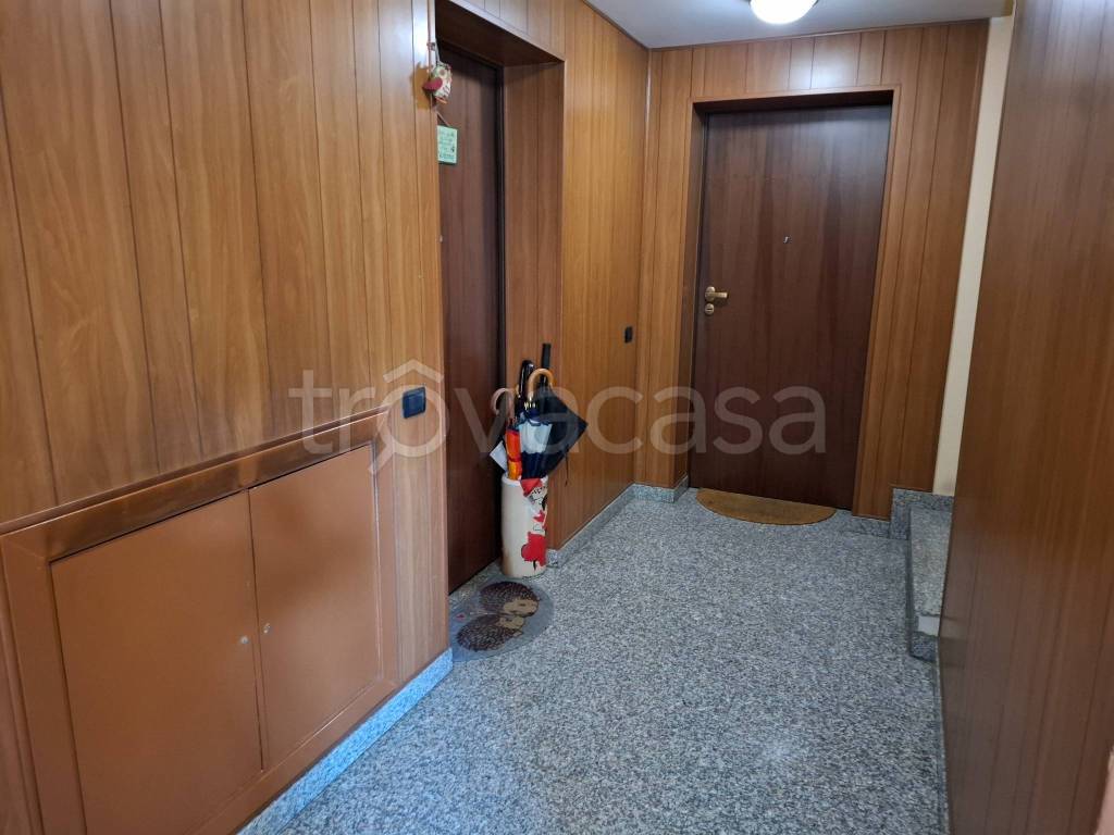 immagine annuncio 9 di 14