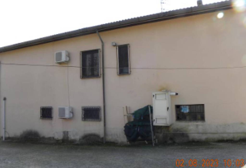 immagine annuncio 3 di 11