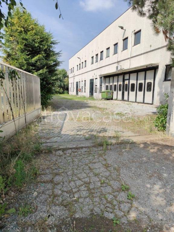 immagine annuncio 1 di 15