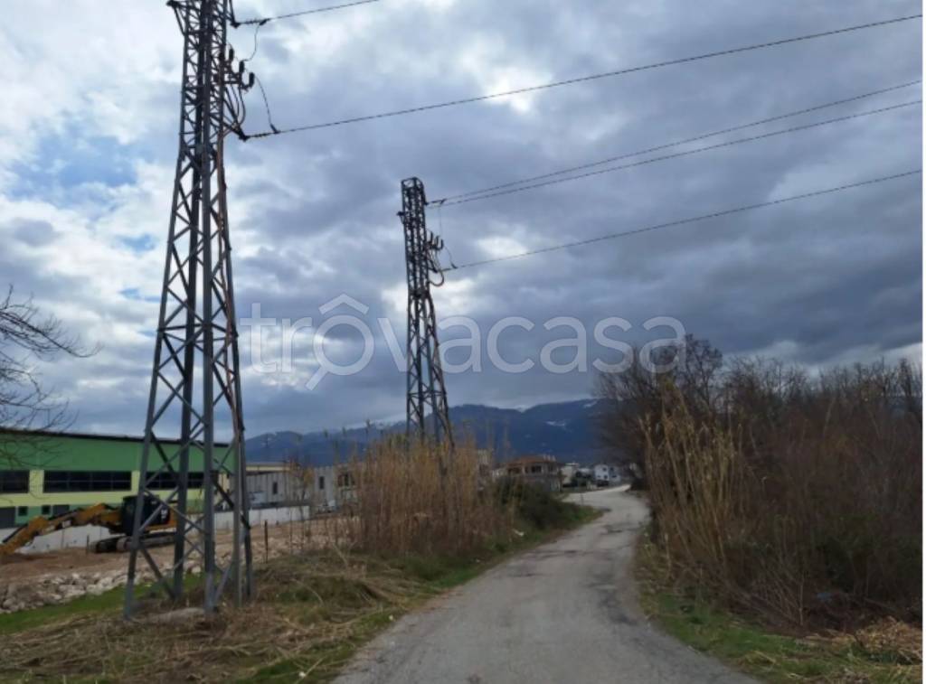 immagine annuncio 7 di 12