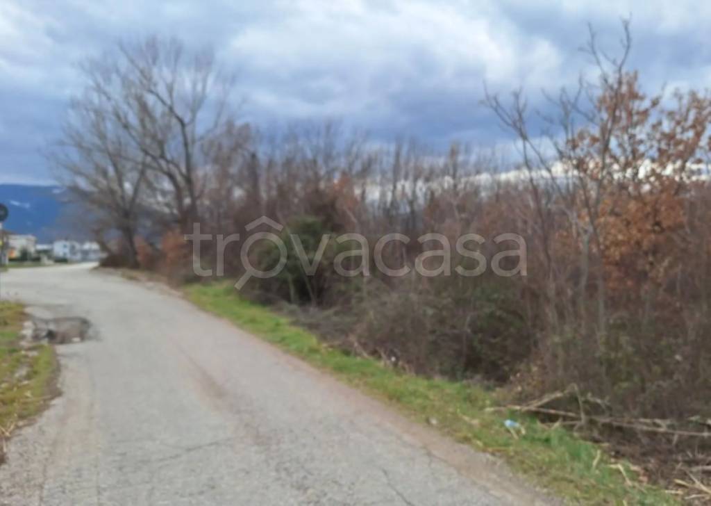 immagine annuncio 8 di 12