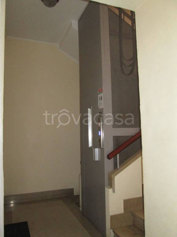 immagine annuncio 4 di 8