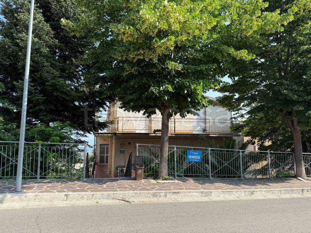 immagine annuncio 9 di 12