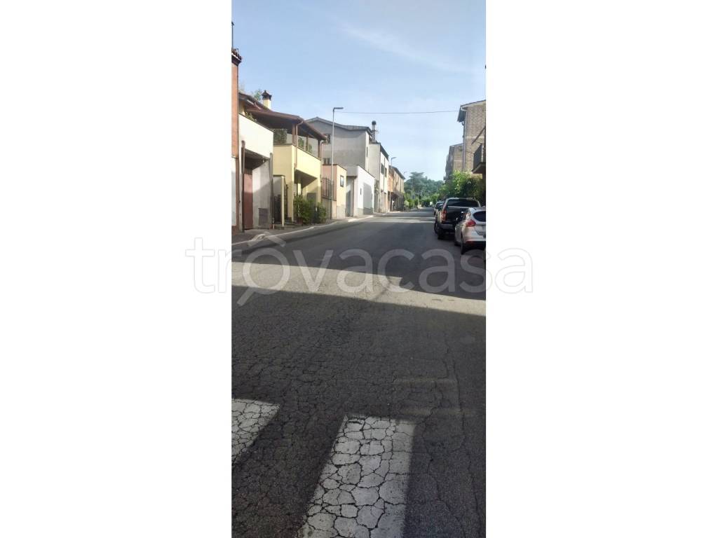 immagine annuncio 12 di 14