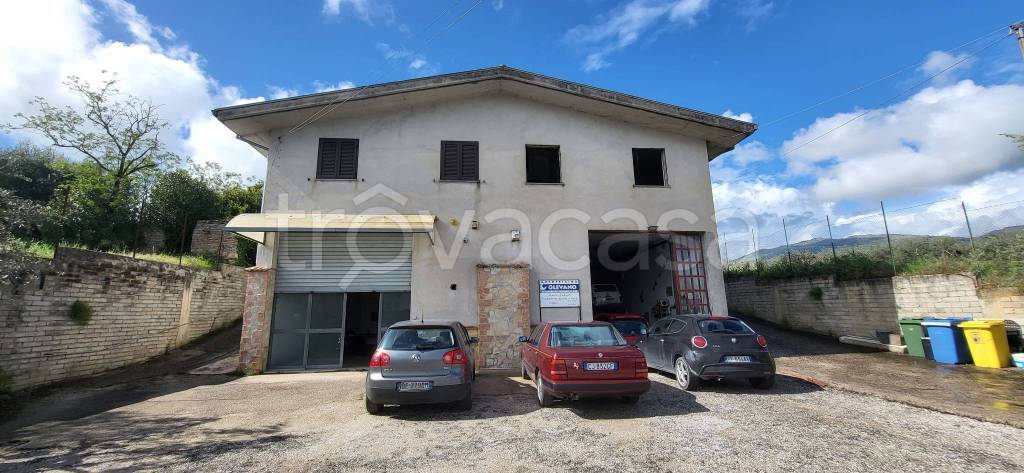 immagine annuncio 7 di 8