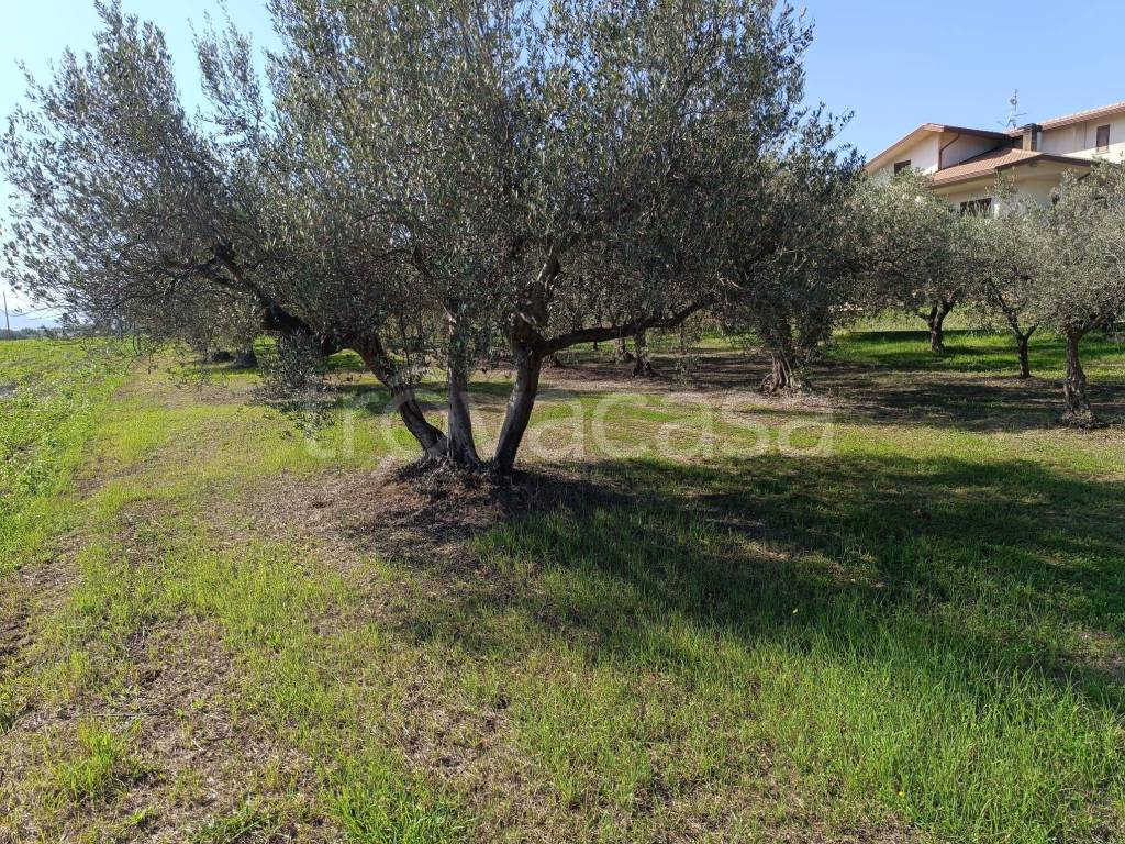 immagine annuncio 9 di 13