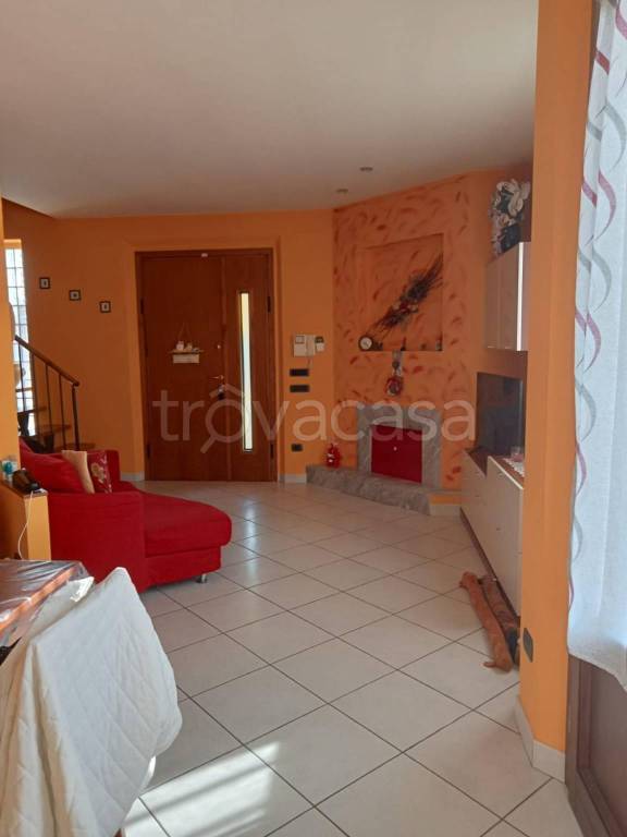 immagine annuncio 9 di 15
