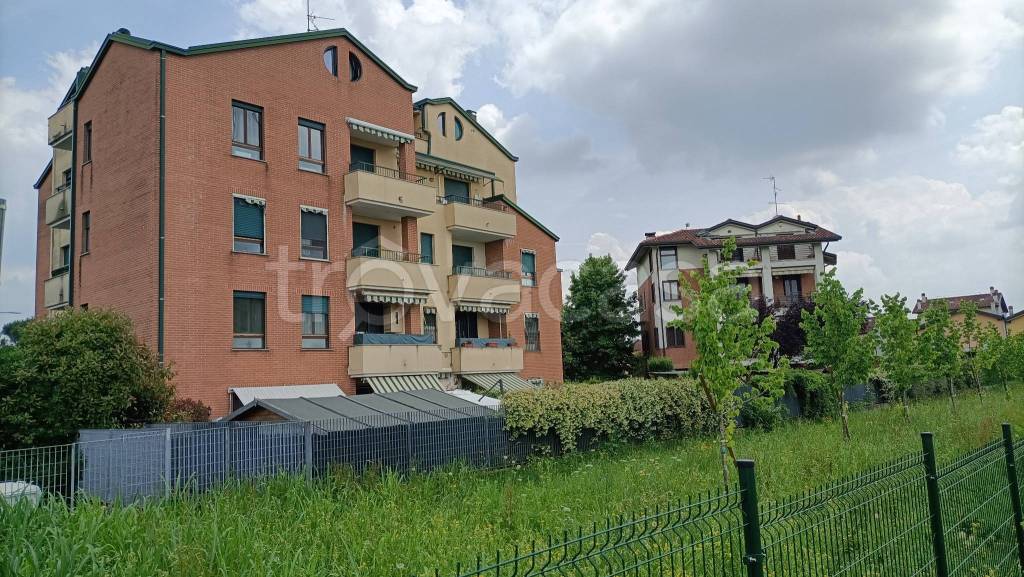 immagine annuncio 3 di 15