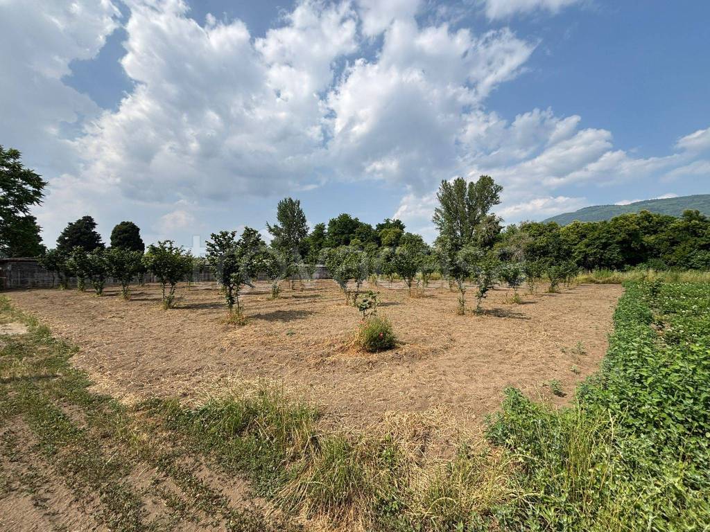 immagine annuncio 1 di 8