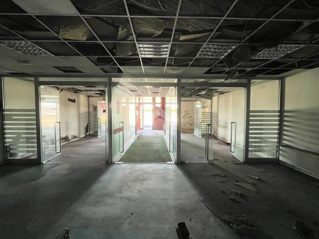 immagine annuncio 5 di 14