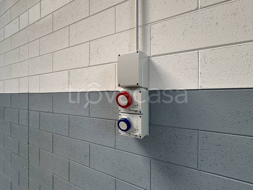 immagine annuncio 2 di 12