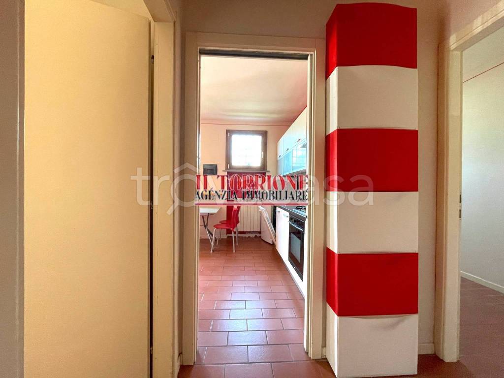 immagine annuncio 5 di 13