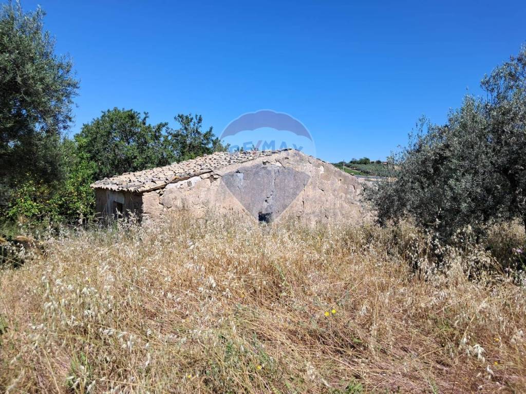 immagine annuncio 6 di 14