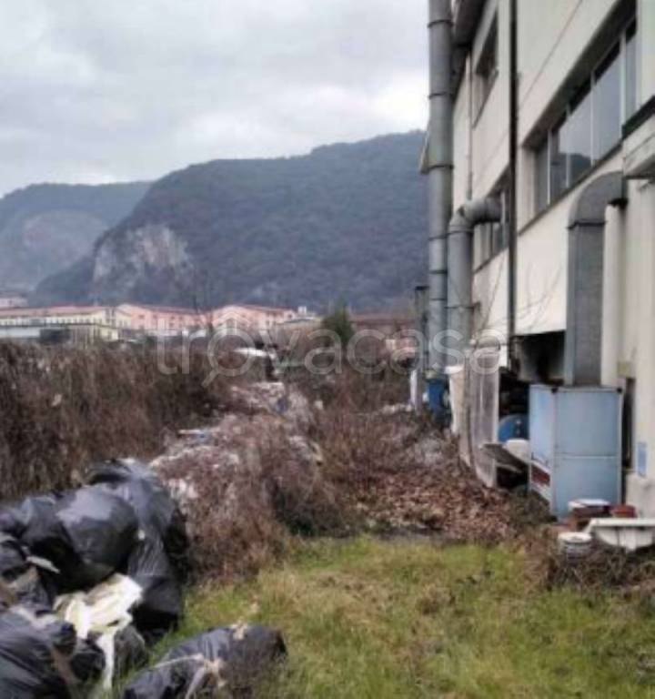 immagine annuncio 8 di 11