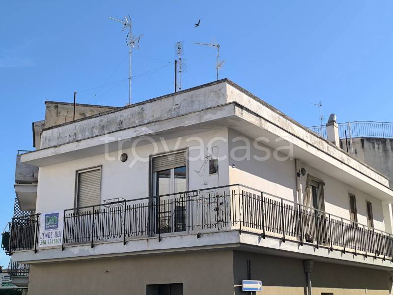 immagine annuncio 11 di 12