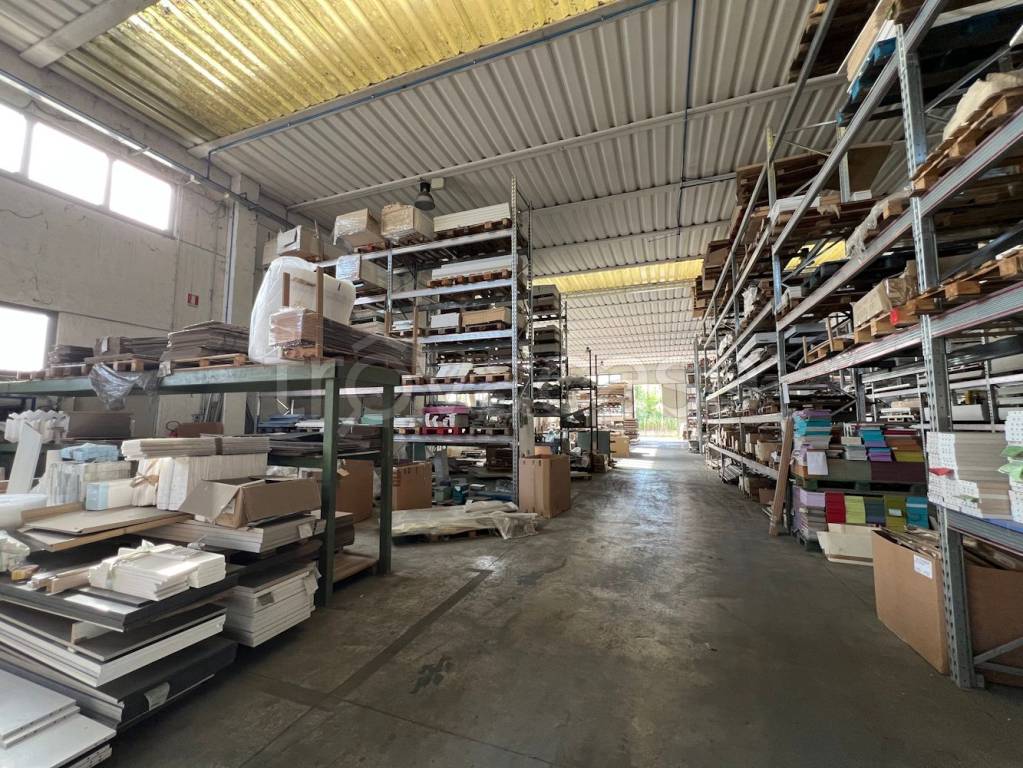 immagine annuncio 5 di 12