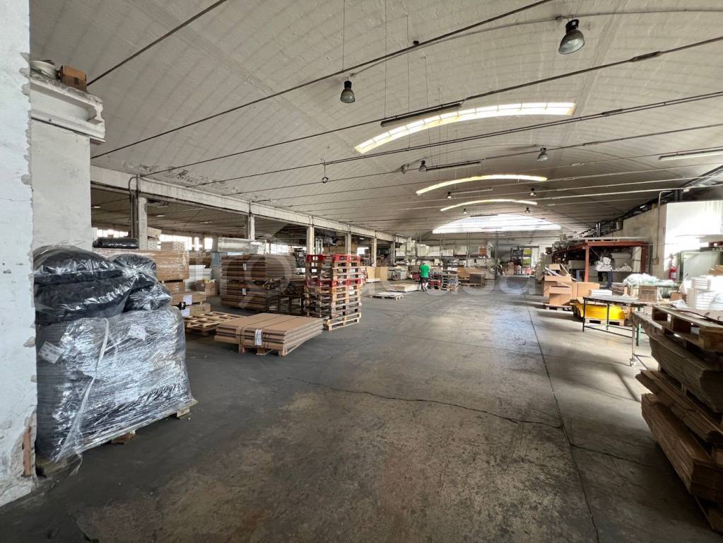 immagine annuncio 6 di 12