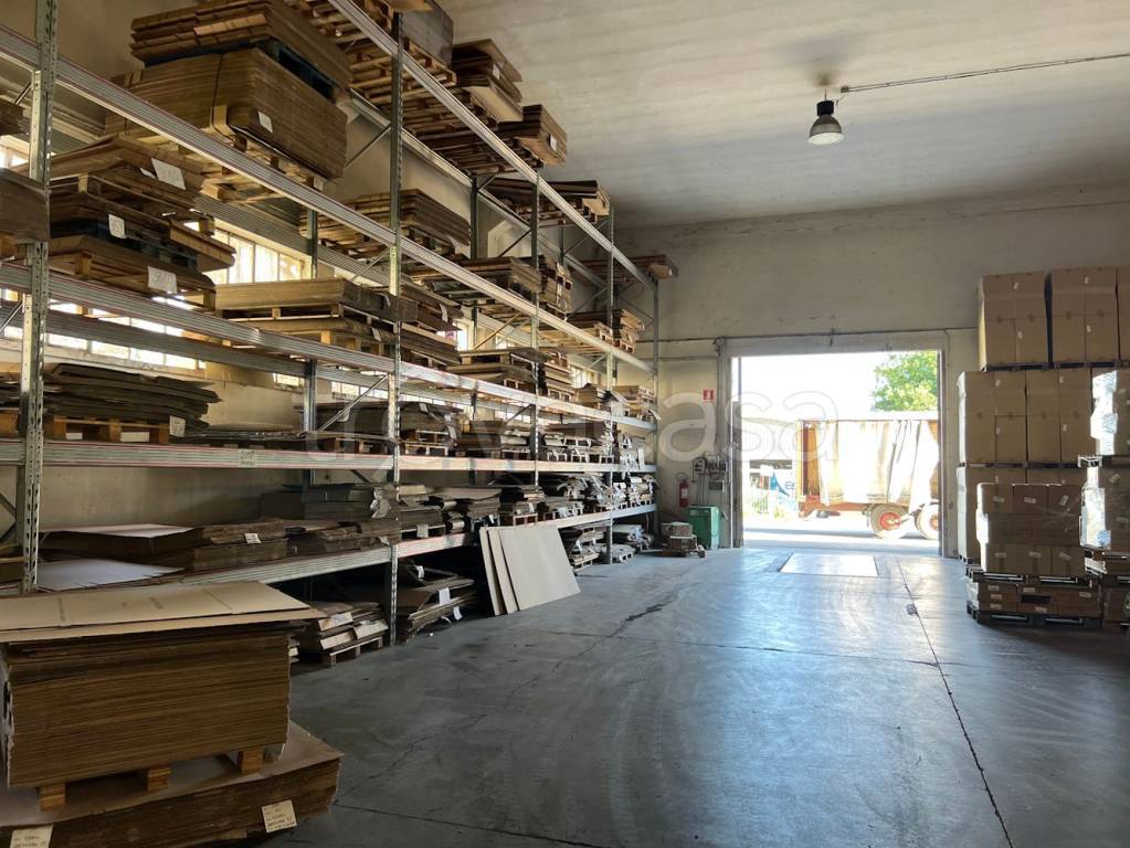 immagine annuncio 10 di 12