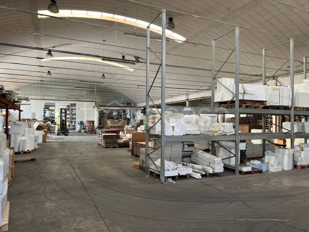 immagine annuncio 11 di 12