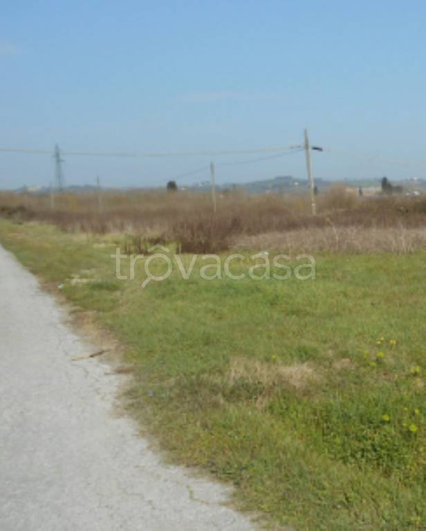 immagine annuncio 7 di 11