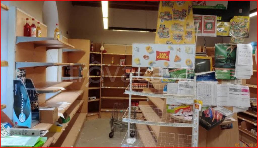 immagine annuncio 3 di 12