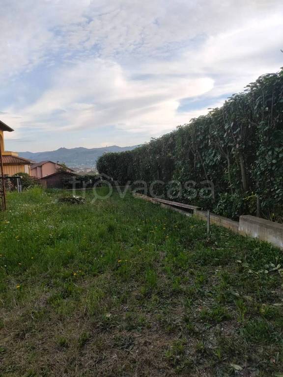 immagine annuncio 6 di 10