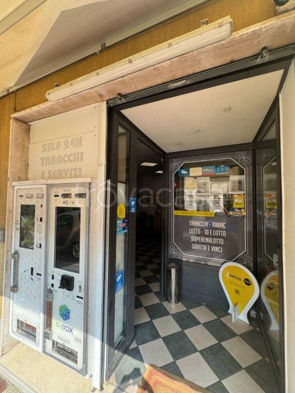 immagine annuncio 3 di 8