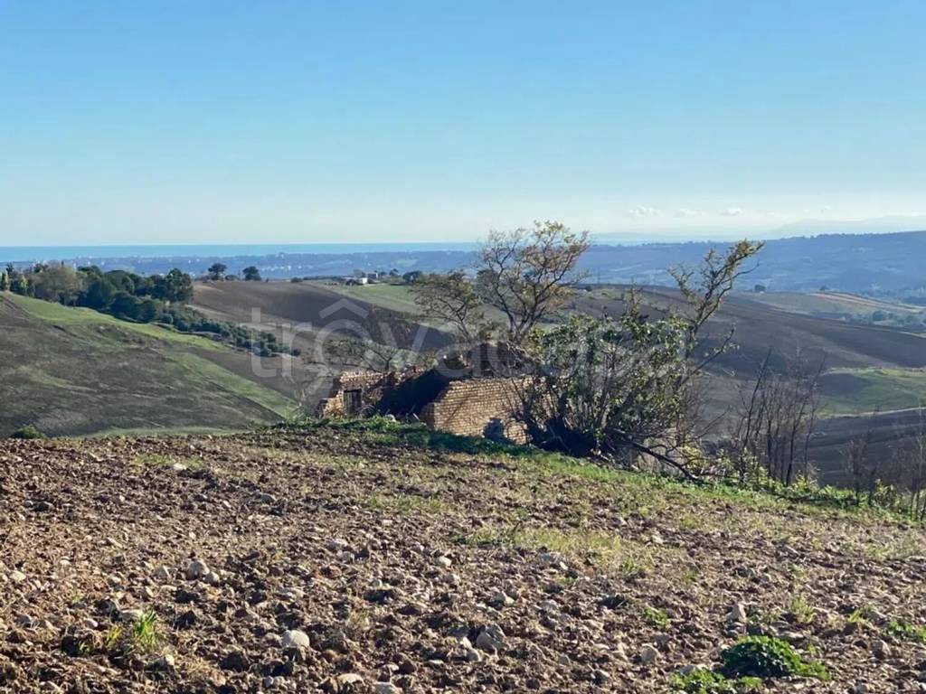 immagine annuncio 4 di 14