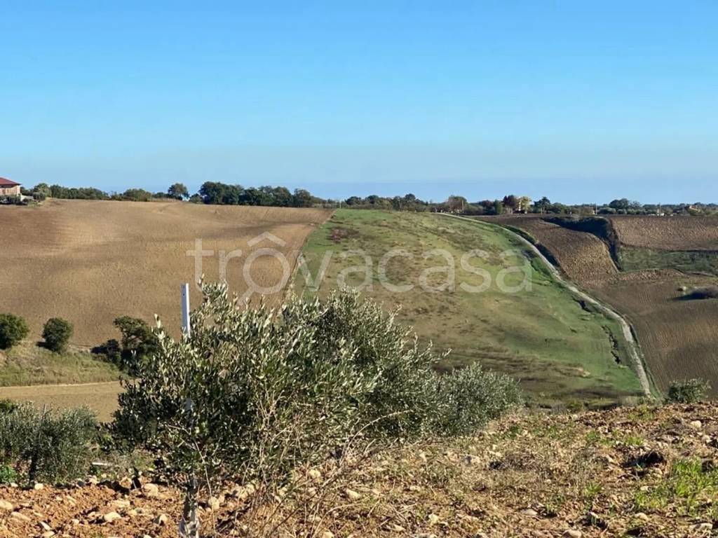 immagine annuncio 5 di 14