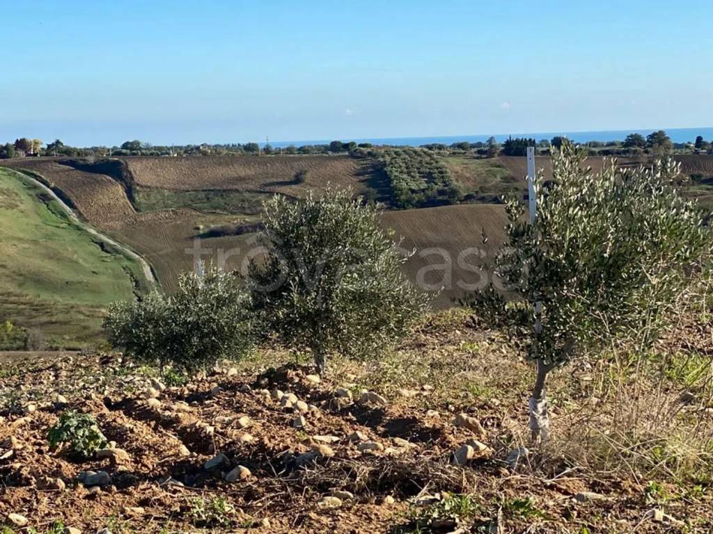 immagine annuncio 6 di 14