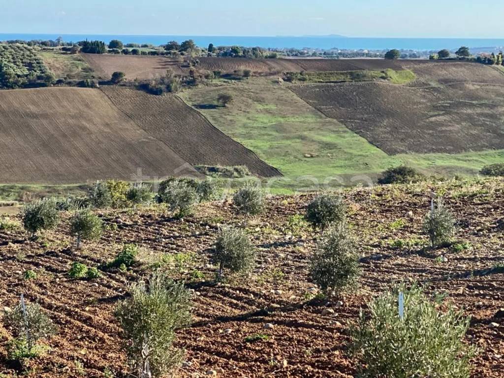 immagine annuncio 7 di 14