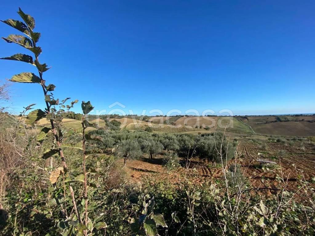 immagine annuncio 8 di 14